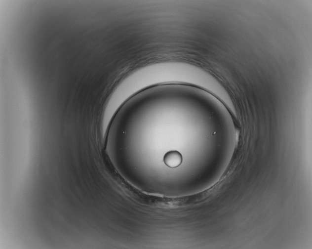 X0000116320120200912011120