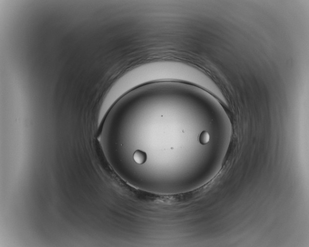 X0000116320124200912011120