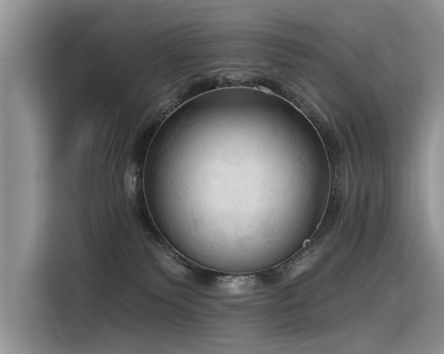 X0000116320135200912011120