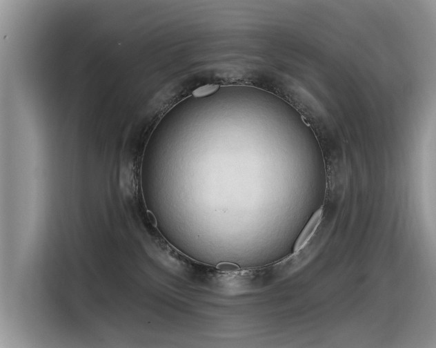 X0000116320136200912011120