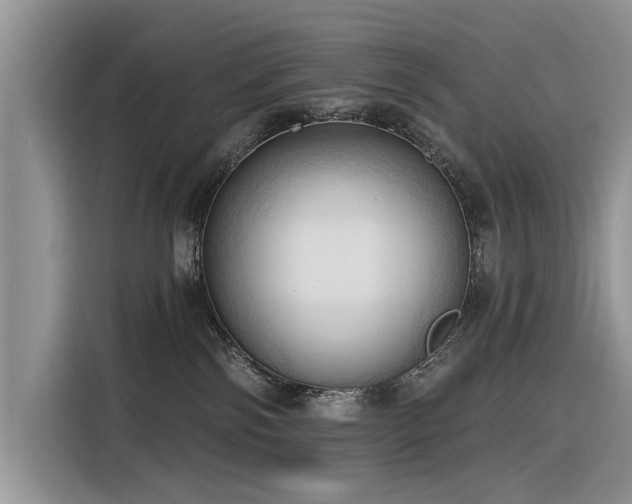 X0000116320138200912011120