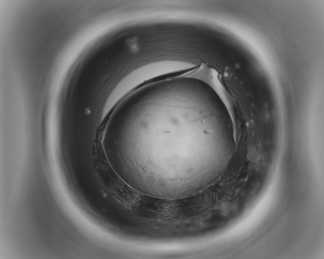 X0000116320143200912011120