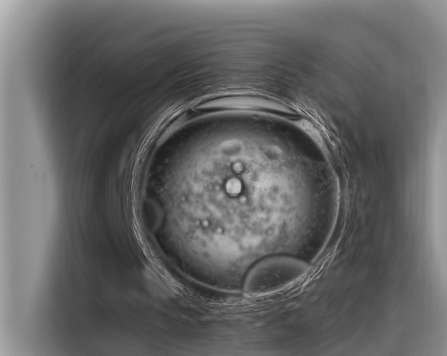 X0000116320145200912011119