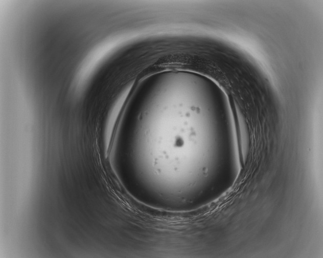 X0000116320146200912011119