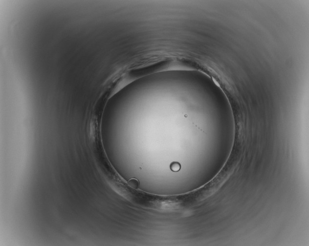 X0000116320165200912011119