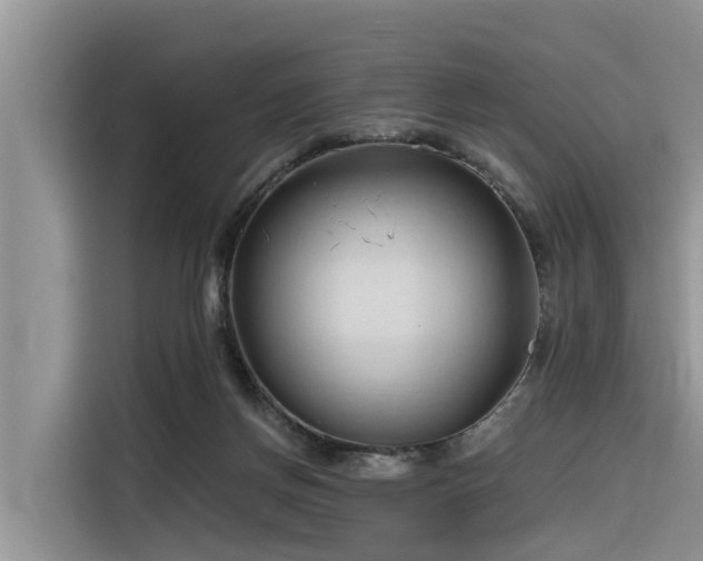 X0000116320166200912011119