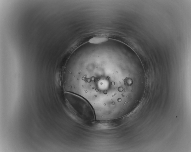 X0000116320171200912011119