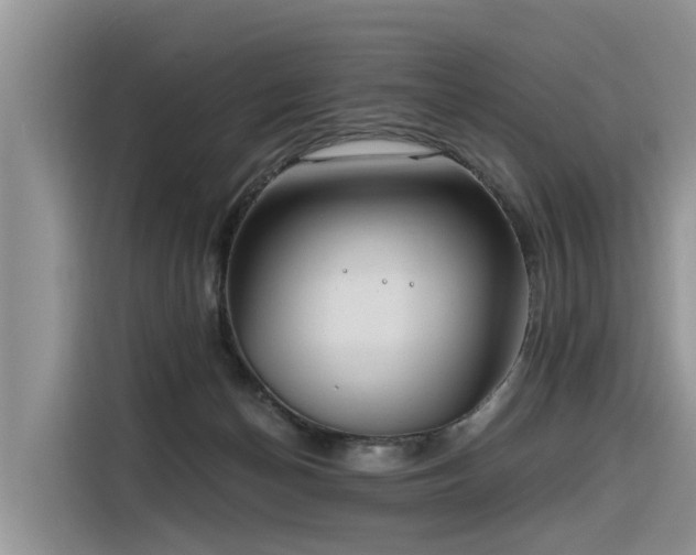 X0000116320174200912011120