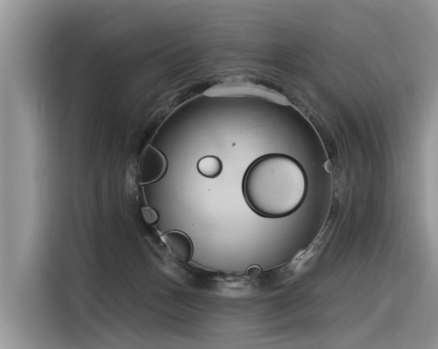 X0000116320175200912011120