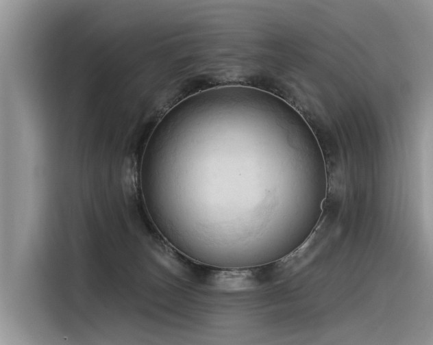 X0000116320179200912011120