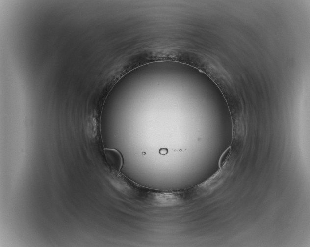 X0000116320183200912011120