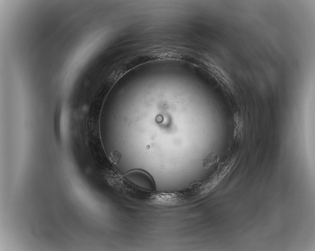 X0000116320189200912011120