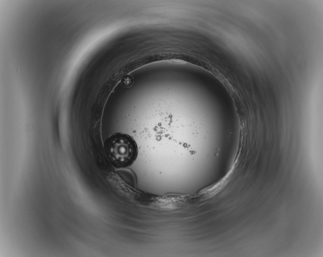 X0000116320190200912011120