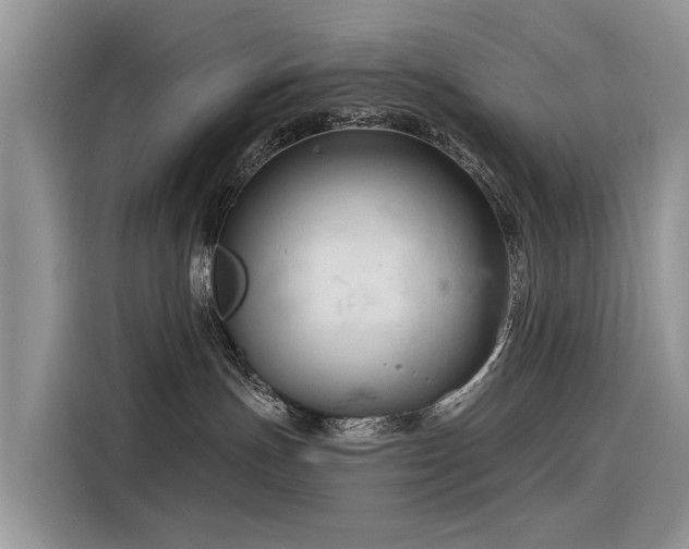 X0000116320191200912011120