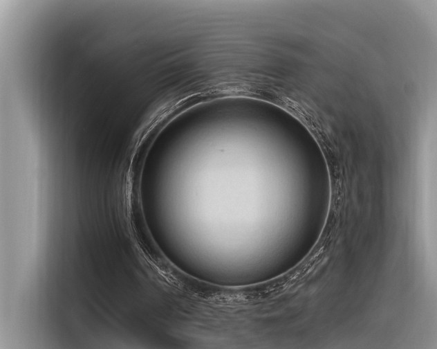 X0000116320194200912011119