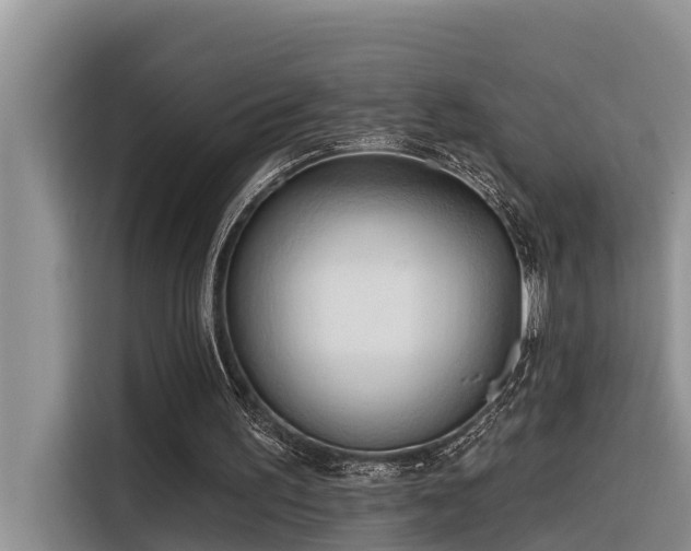 X0000116320195200912011119