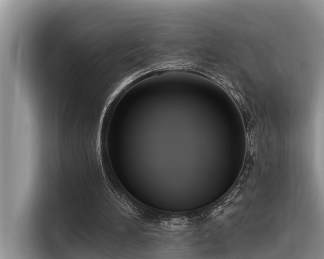 X0000116320196200912011119