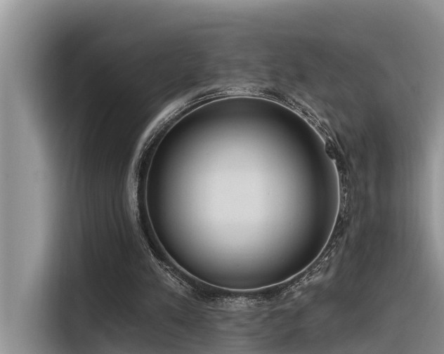 X0000116320197200912011119