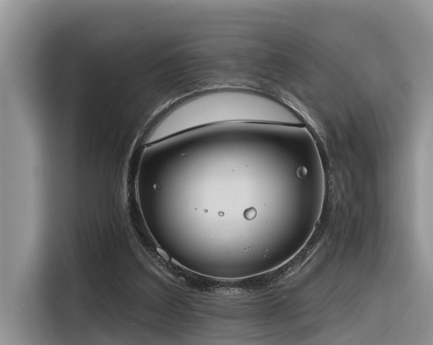 X0000116320203200912011119