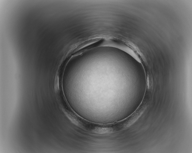 X0000116320205200912011119