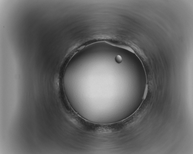 X0000116320207200912011119