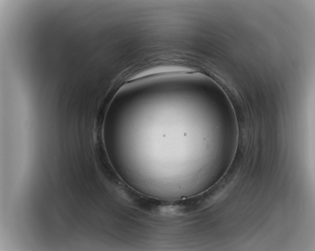 X0000116320216200912011119