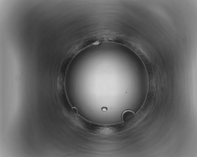 X0000116320218200912011119