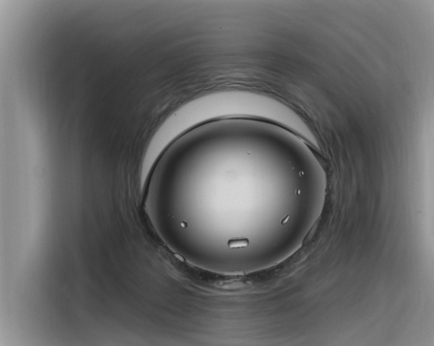 X0000116320219200912011119