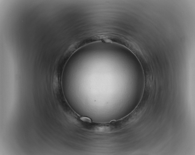 X0000116320220200912011119