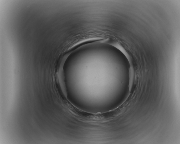 X0000116320223200912011119