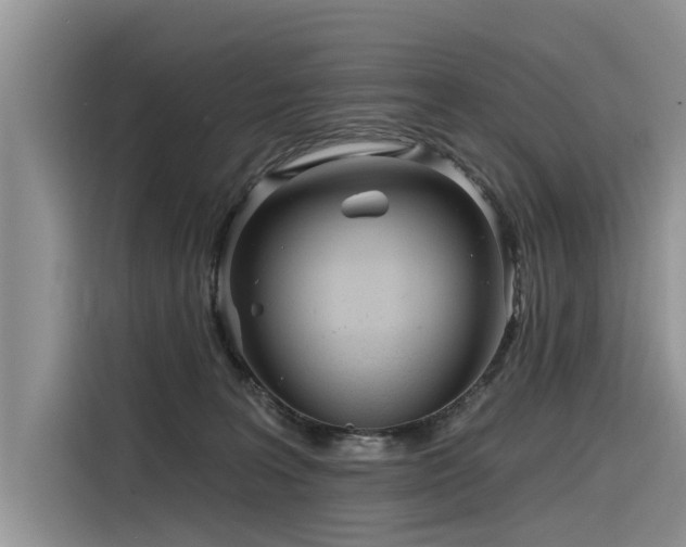 X0000116320227200912011119