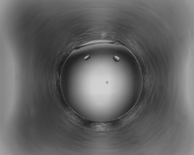 X0000116320229200912011119