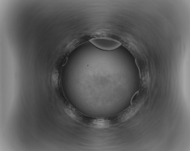 X0000116320231200912011119