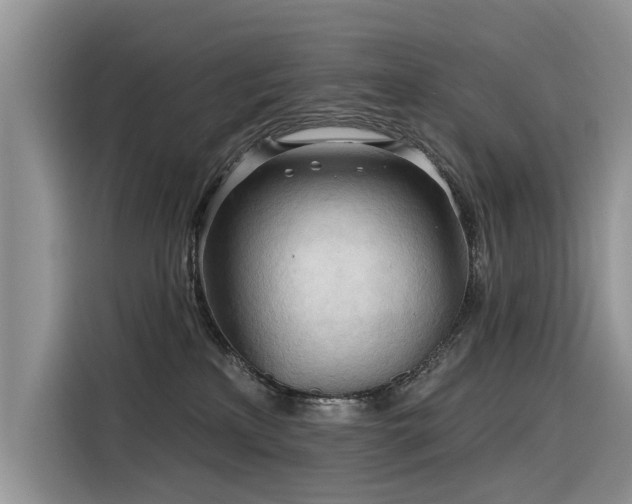 X0000116320233200912011119