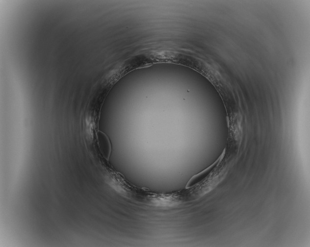 X0000116320235200912011119