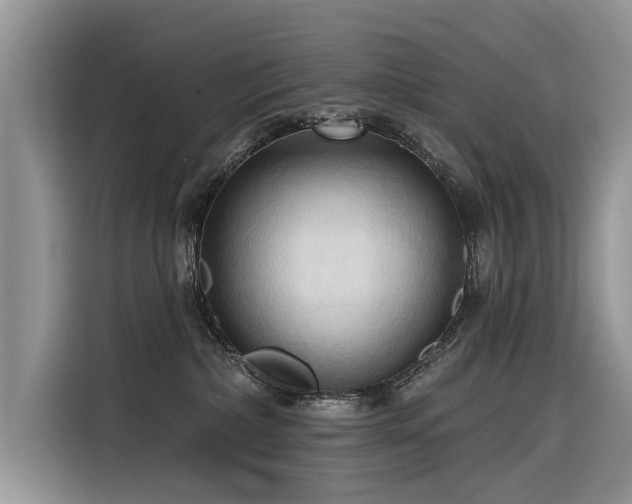 X0000116320236200912011119