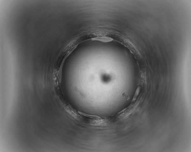 X0000116320237200912011119