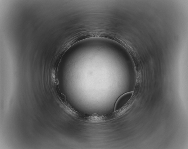 X0000116320238200912011119