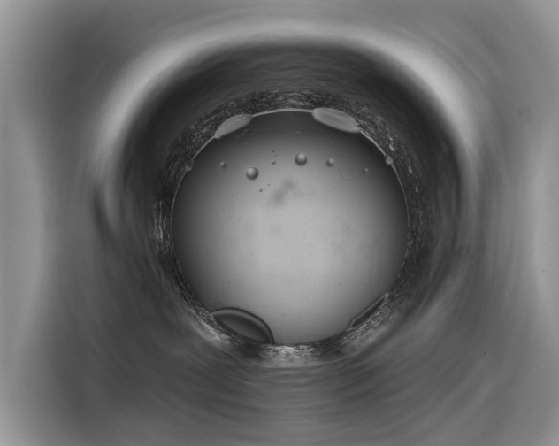 X0000116320239200912011119