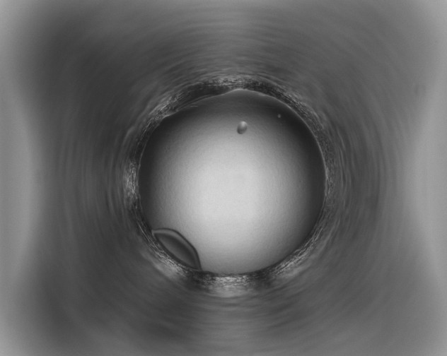 X0000116320240200912011119