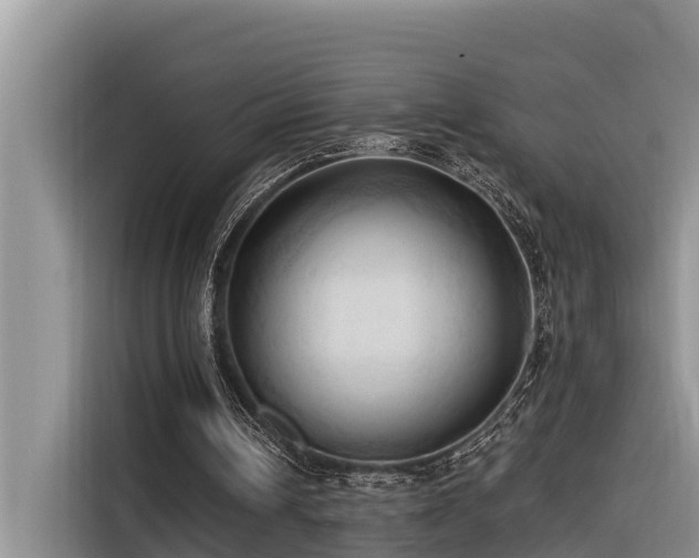 X0000116320242200912011118