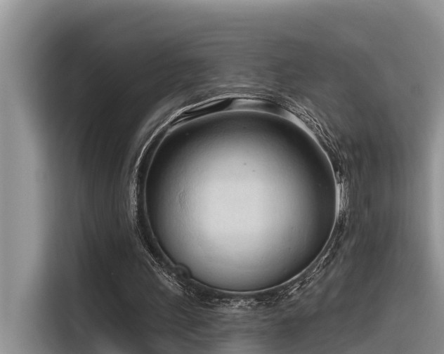 X0000116320243200912011118