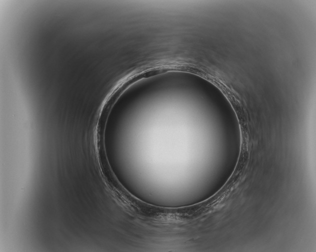 X0000116320244200912011118