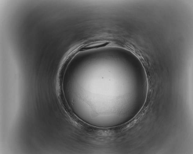 X0000116320245200912011118