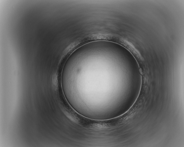 X0000116320250200912011118