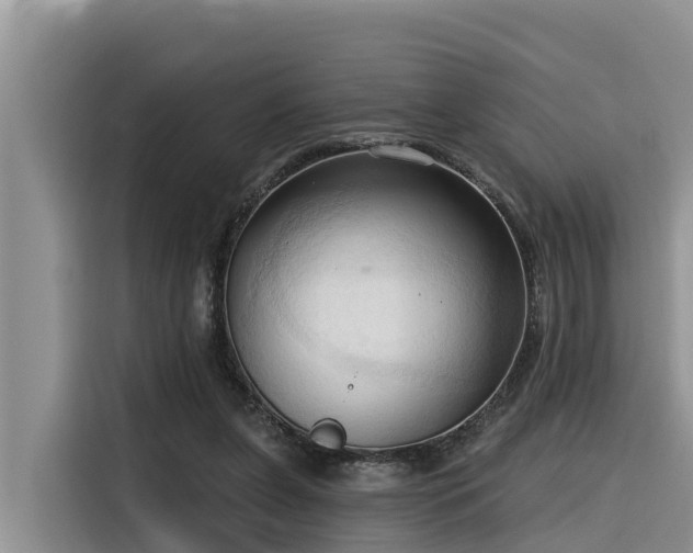 X0000116320255200912011118