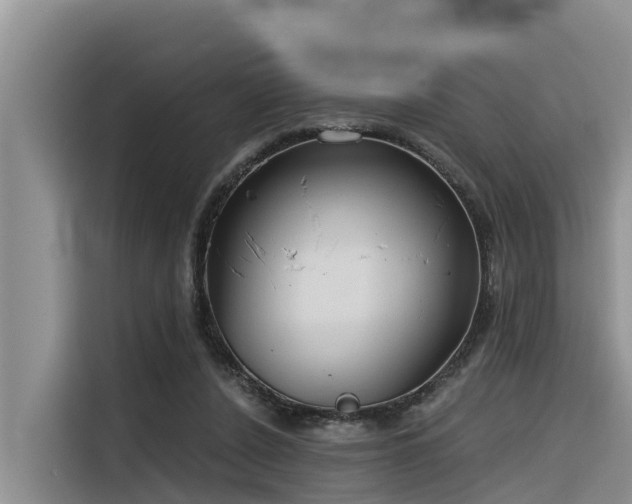 X0000116320256200912011118