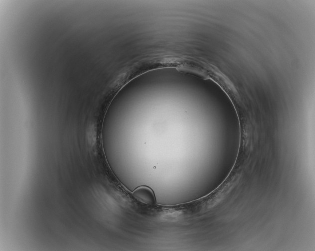 X0000116320257200912011118