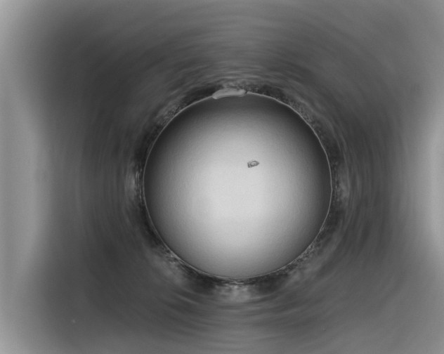 X0000116320276200912011118