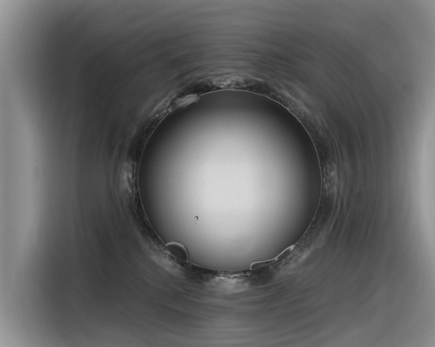 X0000116320280200912011118